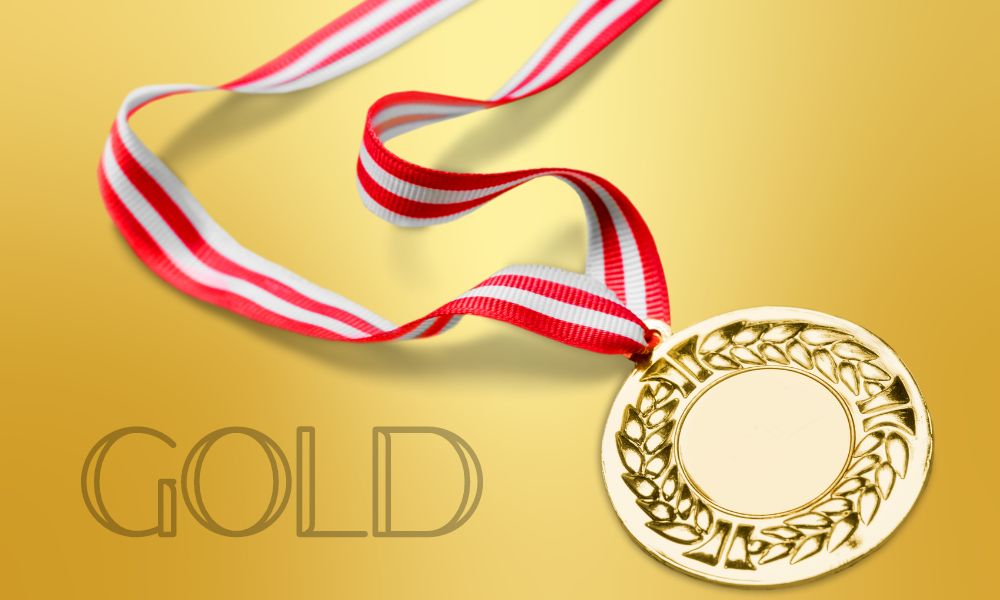 A gold medal in the Body Repair category at the prestigious 2023 World Skills UK Competition